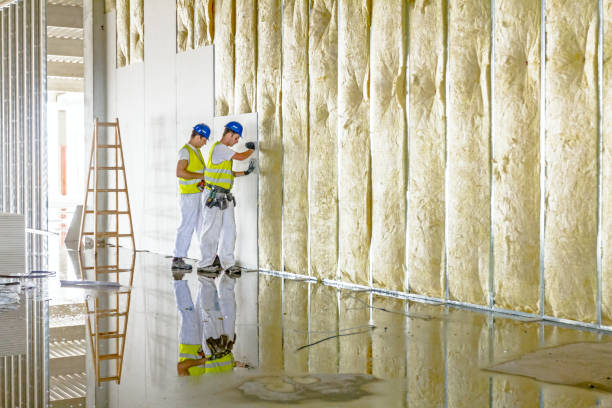 Best Commercial Insulation in Lake Cherokee, TX